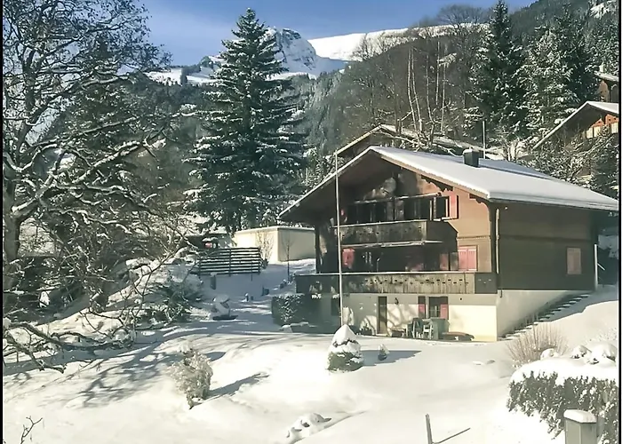 Bussalp Apartment - Aare Jungfrau Ag