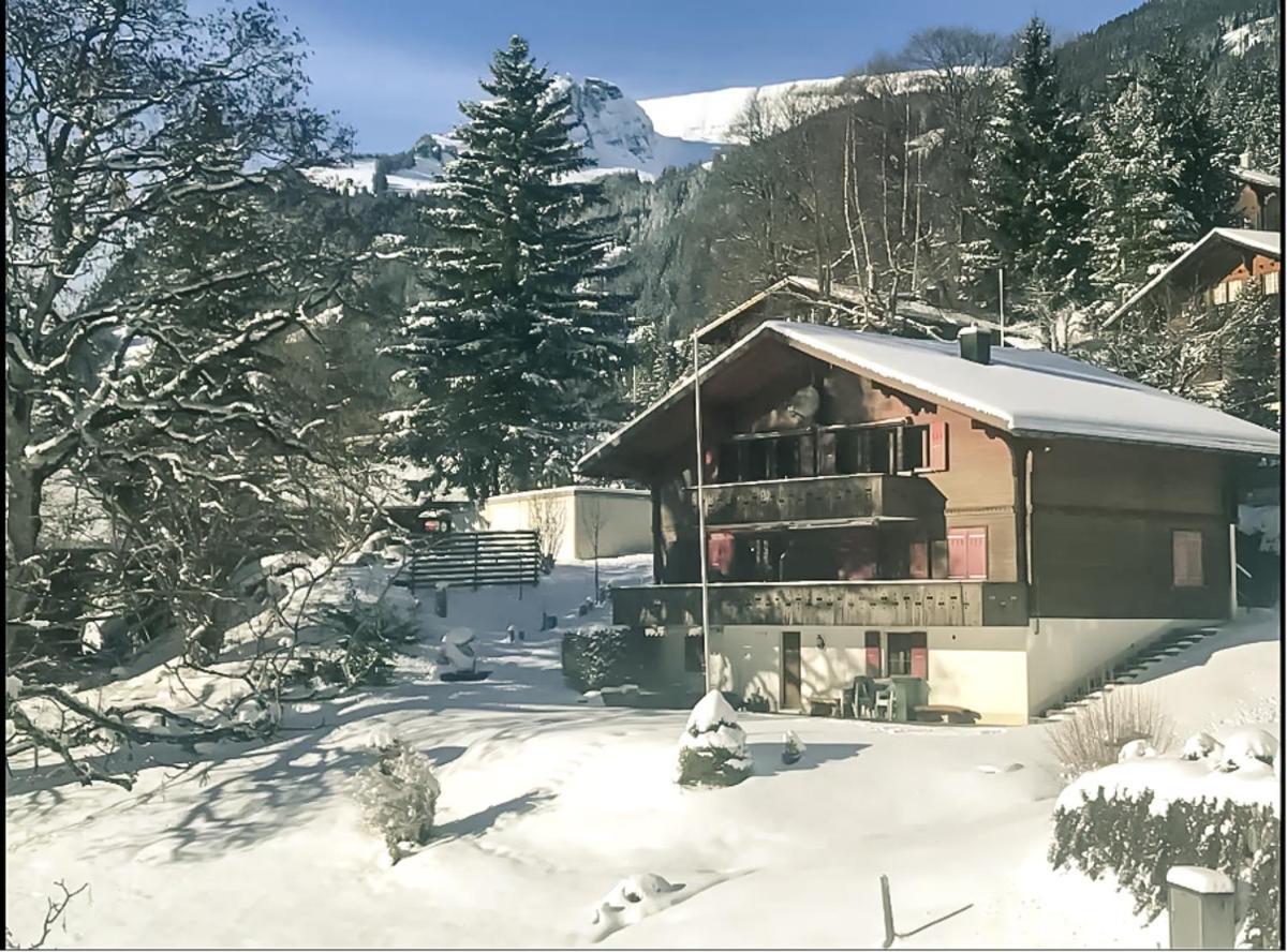 Apartamento Bussalp - Aare Jungfrau Ag Grindelwald